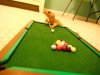 Pool15.jpg