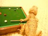 Pool19.jpg