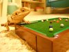 Pool25.jpg