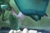 DSC03544.JPG