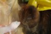DSC03843.JPG