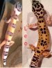 leoleo.jpg