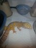 20140604_213239.jpg