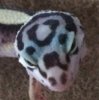 ImageUploadedByTapatalk1403489973.789478.jpg