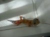 uploadfromtaptalk1406248259014.jpg