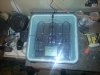 uploadfromtaptalk1408312321931.jpg