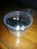 uploadfromtaptalk1408312336372.jpg