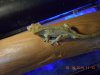 DSCN0048.JPG