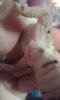 20150619_185339.jpg