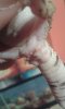 20150619_185229.jpg
