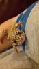 20160602_201539.jpg