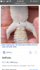 F6C61BC8-8E24-425B-9432-6D6829F0C69C.png