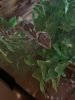 1494868B-C35C-40C7-9485-50C255217C16.jpeg