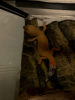 1590510243370.png 1590510243370.png