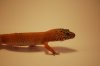 DSC_00212.JPG