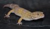 DSC_0990NEW.jpg