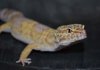 DSC_0992NEW.jpg