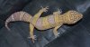 DSC_0991NEW.jpg