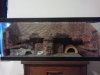 New Digs.jpg
