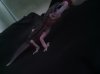 IMG_20130517_070147.jpg