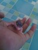 IMG_20130517_085919.jpg
