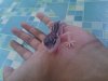 IMG_20130517_090157.jpg