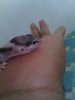 IMG_20130517_085306.jpg