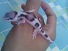 IMG_20130517_085431.jpg