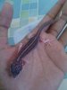IMG_20130517_085718.jpg