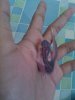 IMG_20130517_085740.jpg