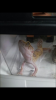 2013-05-25 15.33.56.png
