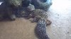 2013-05-27_17-45-24_74.jpg 2013-05-27_17-45-24_74.jpg