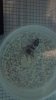 2013-05-27_17-44-26_823.jpg 2013-05-27_17-44-26_823.jpg