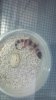 2013-05-27_17-50-28_734.jpg 2013-05-27_17-50-28_734.jpg
