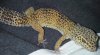 20130416_230637-1.jpg 20130416_230637-1.jpg