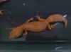 rainwaterfemale51913.jpg