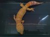Firewatermale51913.jpg