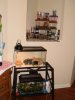tanks and stands.jpg tanks and stands.jpg