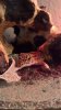 IMG_20130617_174951_249.jpg