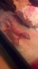 IMG_20130617_172328_202.jpg