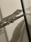 90337798-FE2F-48A9-AC41-6595ABEC1BC5.jpeg