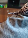 IMG_20220602_205125.jpg