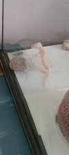 20220601_133715.jpg