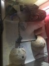 E3229D23-2BEF-4EEA-B323-7661C234459E.jpeg