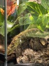 IMG_1434.jpeg