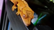 100_0717.JPG