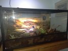 Terrarium 3A.jpg