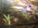 Terrarium 3B.jpg