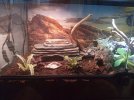 Terrarium 1L.jpg