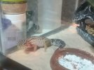 IMG_5280.jpeg